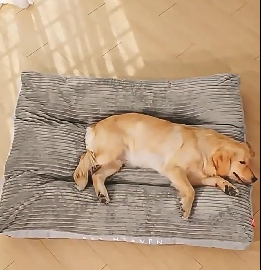 Washable Non-Slip Dog Bed Mat for Medium to Large Dogs - Thick, Warm, All-Season Comfort