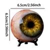 Eyeball Statue Realistic Horror Eye Figure Gothic Style Paperweights for Desk for Table Bookshelf Bedside Dorm Apartment Bar