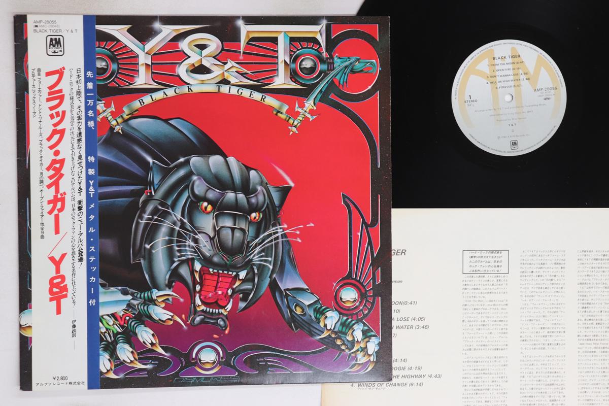 

LP Record Y & T - Black Tiger AMP28055 A&M 1982 Japan Obi Rock Used