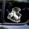 Jesus Faith Vinyl Decal - Suitable for Cars, Laptops, Windows and More - Durable Self-Adhesive Sticker for Indoor Use