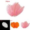 High-end 10 Pcs Natural Ostrich Feathers For Exceptional Party And Event Decor
