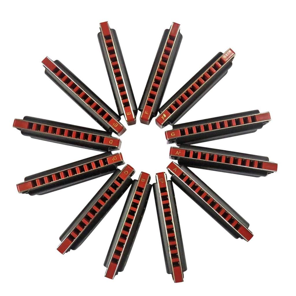 East Top Harmonica 12 Set Blues Harp 10 Holes 20 Tones Brass Cover Canvas Case Cleaning Cloth for Study and Practice Diatonic Harmonica Beginners,