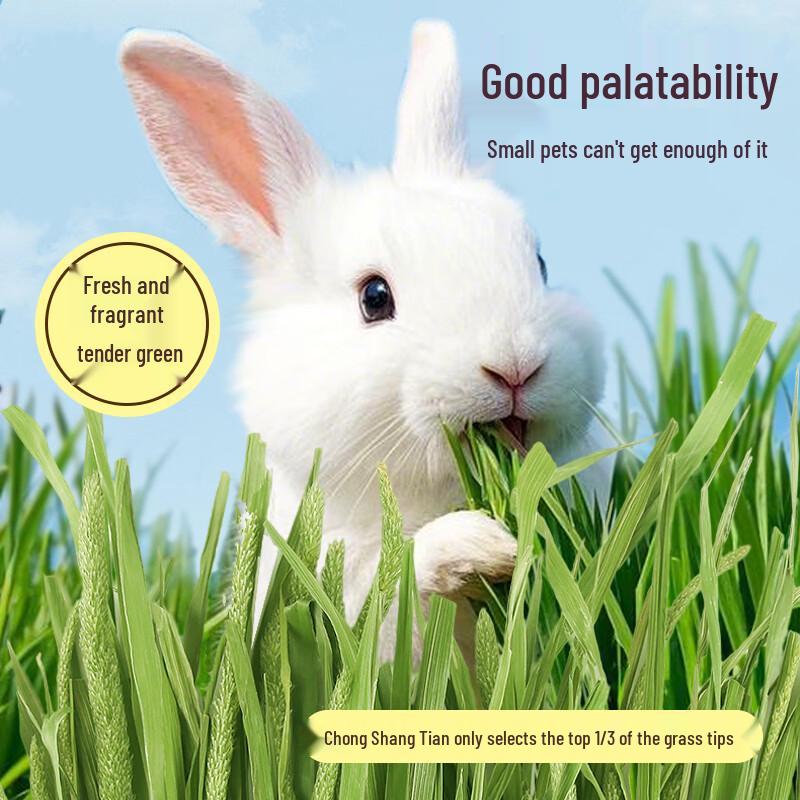 Dried Timothy Hay for Rabbits, Chinchillas, Guinea Pigs
