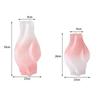 Vase Glass Vase Home Decoration Ornaments Flower Arrangement Flower Vase