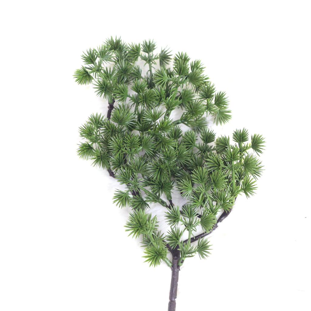 Simulation Of A Single Beauty Pine Branch Fruit Cypress Branch Pine Needle Tree Branch Wukesong Project Matching Plant List