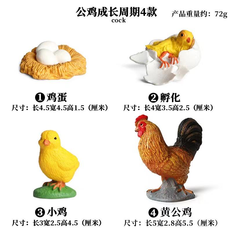 Life Animal Cycle Board Children Toys Montessori Teaching Aids Plant Animal Growth Cycle Model Set Preschool Cognitive Toys
