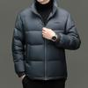Mens Winter Down Jacket Stand Collar Casual Warm White Duck Puffer Coat Daily Wear