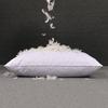 White Goose Feather Pillow Core 45x45cm: Hotel Sofa Cushion for Lumbar Support