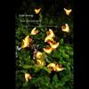 New Solar Firefly Lamp Bee Lamp Bubble Ball Floor Insertion LED Courtyard Atmosphere Decoration Lamp