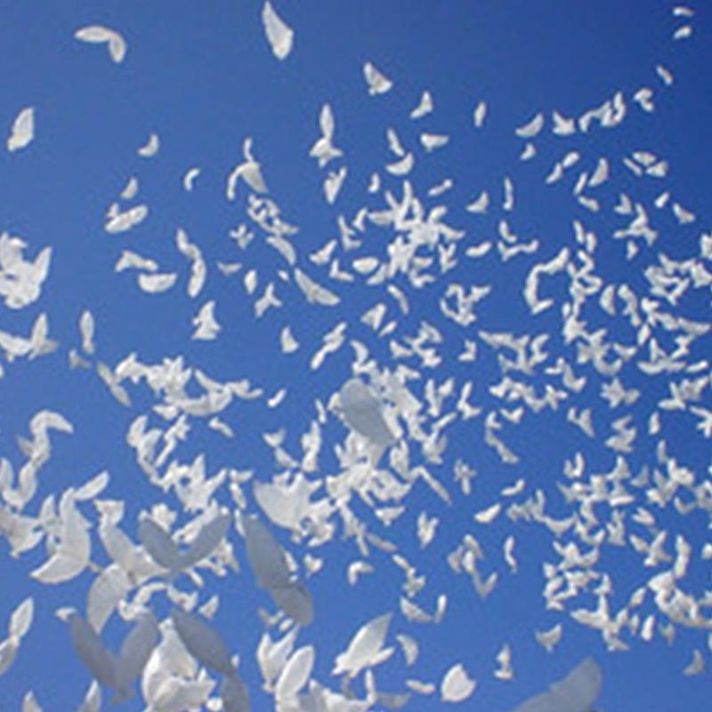 1ks Holubí balón Balónky Dekorace Holub Venkovní Svatba Narozeniny Polyesterová Fólie