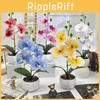 Rain Flower Stone Bonsai With Butterfly Orchid Artificial Plant For Tabletop Decor