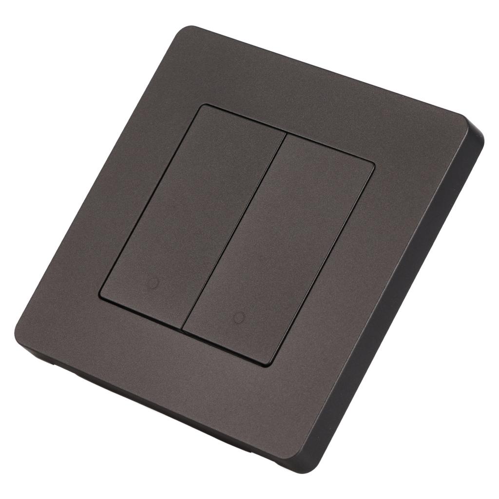 Smart Light   for   2 Gang Timing Dimming Reverse Dual Control   Panel AC100‑240V