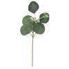 Nordic DIY Eucalyptus Branch for Wedding Decor