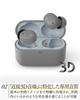 final ZE500 for ASMR 3D Wireless Recommended for Sleeping Earbuds, Ultra-Small, (GRAY)