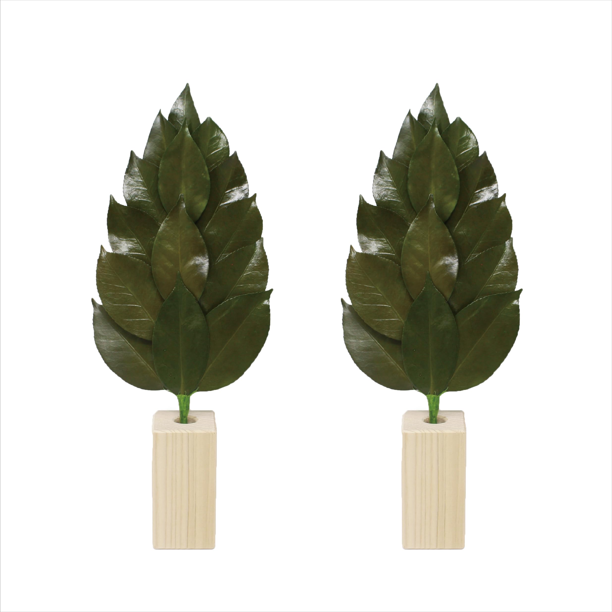 

A&K Kiwami Sakaki Medium Sakaki Stand Set [Made with Fresh Leaves] (Preserved with Premium Tanba Camellia Leaves and Japanese Cypress Wood) Utility