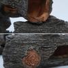 Creative Fish Hiding Shelter Landscaping Aquarium Hollow Tunnel Cave Rockery Home