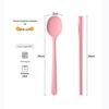 Kids' Portable Non-Slip Colored Silicone Chopsticks & Spoon Set