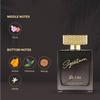 Signature Aura - Metal Eau de Parfum - 100ml | Long Lasting Fragrance for Men | Woody Spicy Scent | Luxury Everyday Wear Perfume Gift for Him