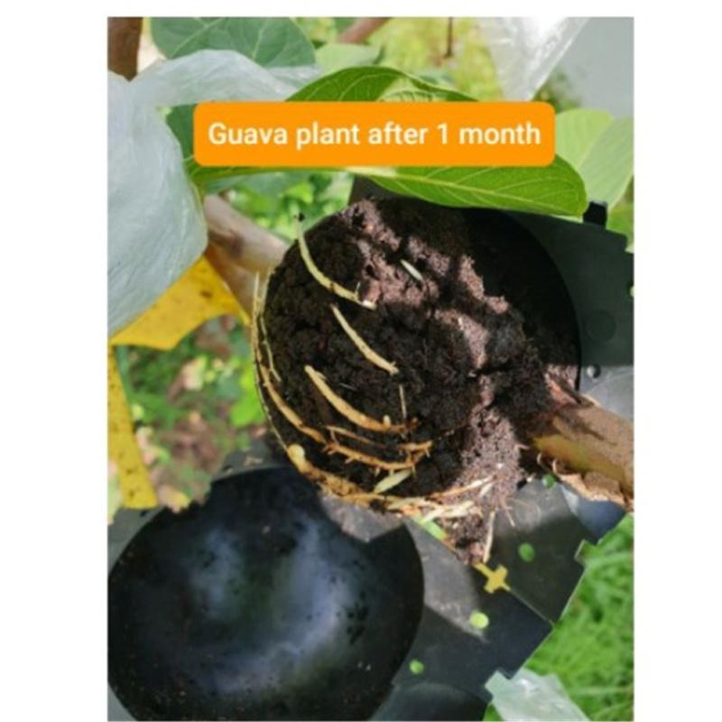 Air Stratified Plant  Rooting  Device Rooting Ball Garden Fruit Tree Seedling Growing Device