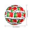Portugal national football team Theme soccer ball Size 5 Soccer Ball Soft Touch Professional Training Football for Outdoor Sports