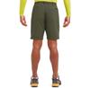 Montane Шорты Terra