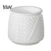 Deep Soil Planting Basin Self Watering Planter with Wick Rope for Indoor Plants, Double Layer Modern Decorative Flower Container Transparent