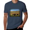 Bison on Antelope Island TShirt Plus Size Lightweight Tee Shirt