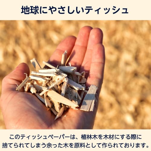 Box Tissues by FSC Certified Paper, 400 Sheets (200 Pairs) X 60 Boxes (5 Packs X 12 Packs) [Case Sale]