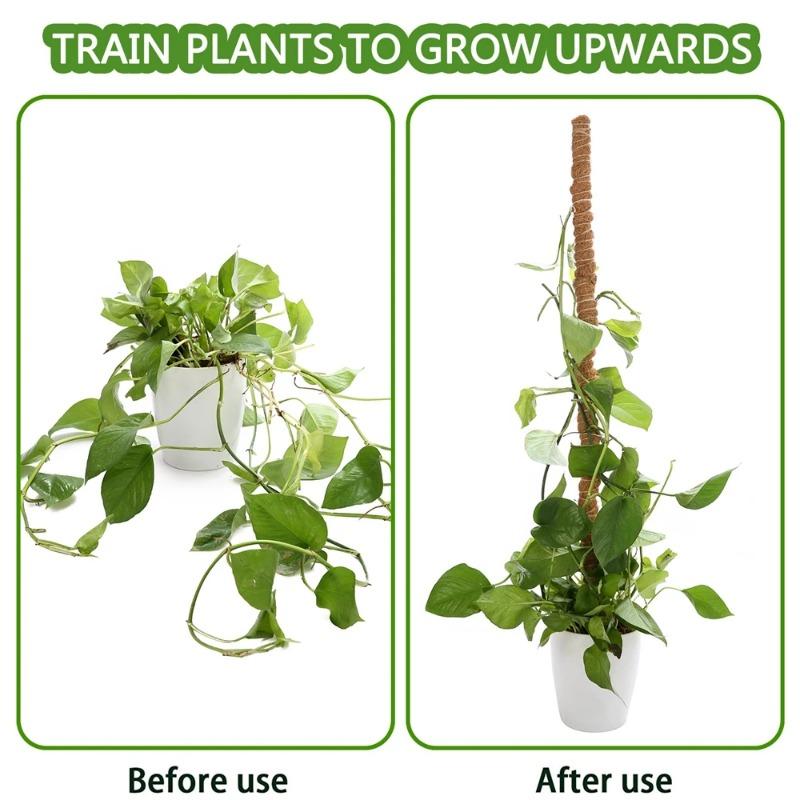 Großhandel Biegsamer Kokosfaser-Moosstab Pflanzenkäfig Kletterstab Pflanzenstütze Verlängerung für Monstera-Pflanze zum Aufwärtswachsen Garten