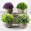 Simulate Potted Plant Cute Microlandschaft Home Office Hotel Decoration