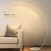 Minimalist Curved LED Floor Lamp for Living Room Art Showrooms
