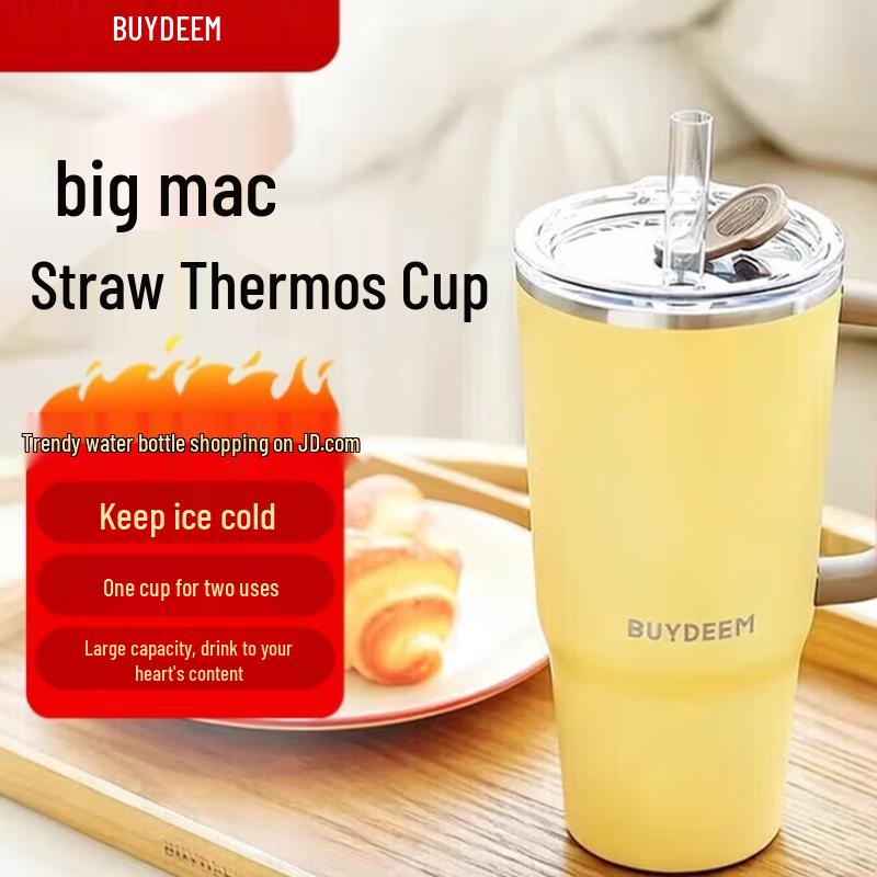 

Buydeem Jumbo Stainless Steel Insulated Straw Tumbler