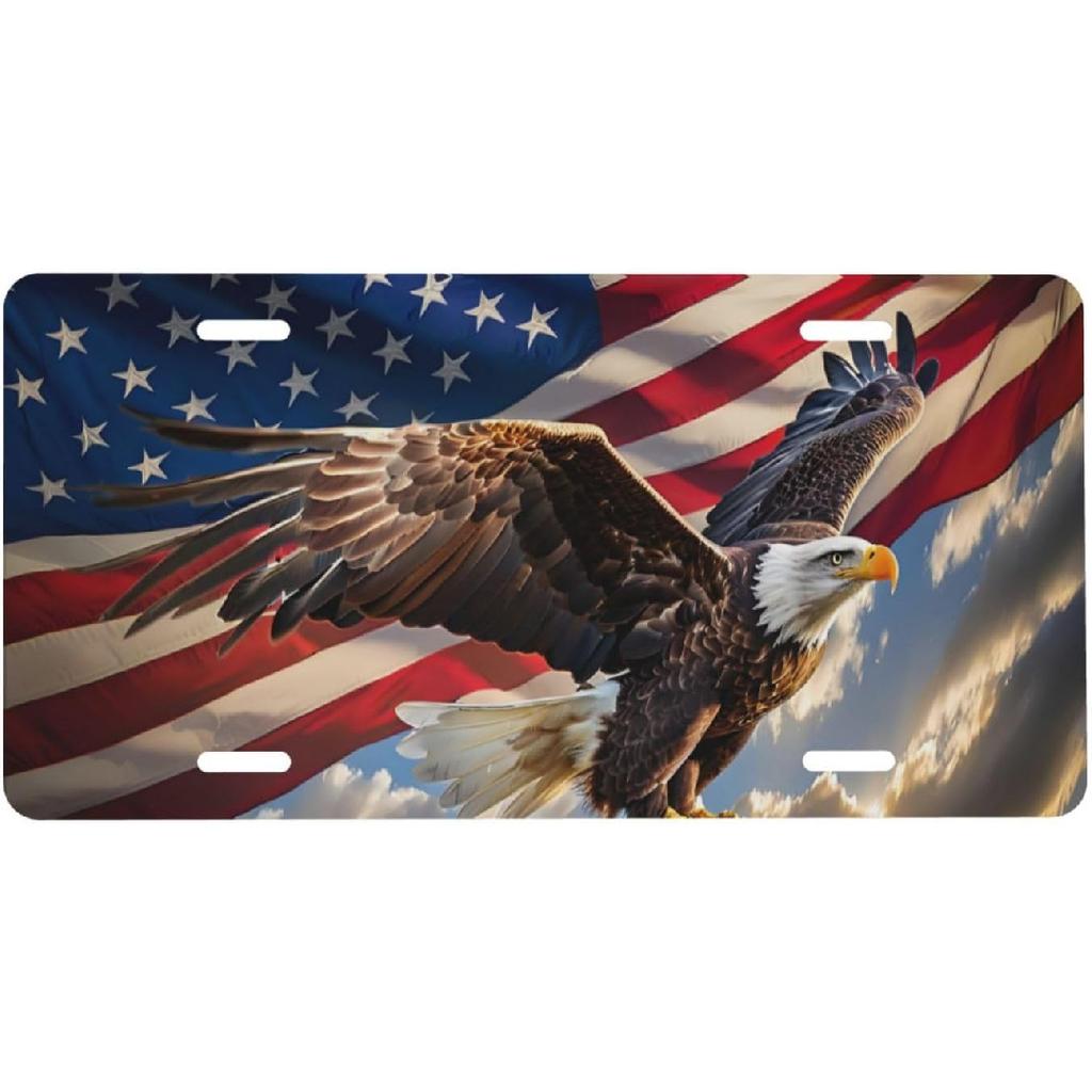 Galaxy Blessed Front License Plate for Women Car Vanity Plates Decorative Aluminum Metal Cute Novelty License Plate Cover for Men 6x12 Inch (4 Holes)