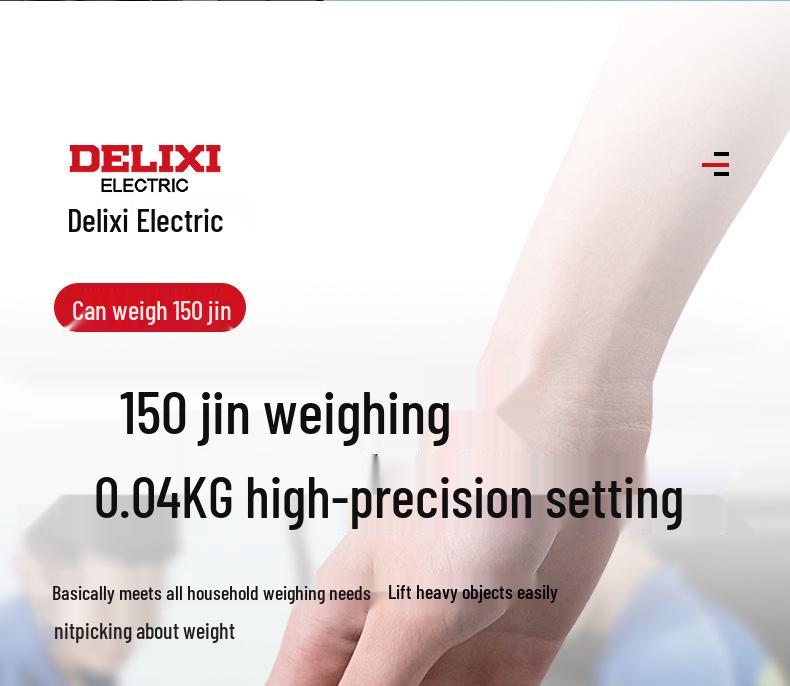 Delixi Electric Portable Handheld Precision Scale for Household Use