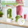 Herb Keeper for Refrigerator Keep Herbs Fresh Longer Premium Herb Saver Versatile Container for Cilantro Parsley Basil Mint