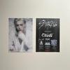 [USED] StrayKids Felix Flyer