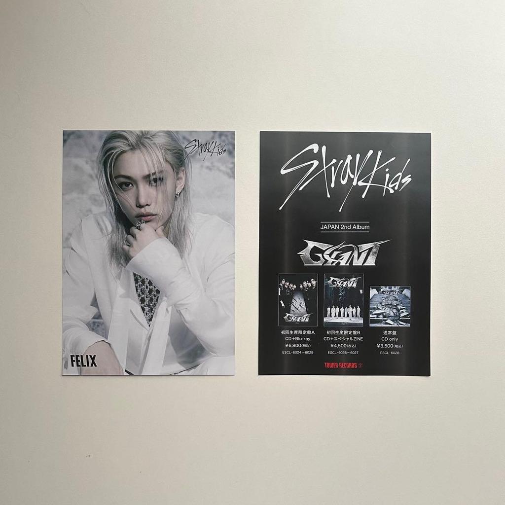[USED] StrayKids Felix Flyer