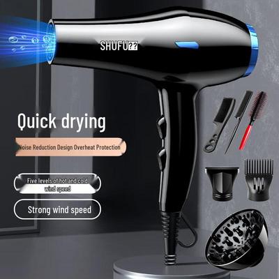 OEING Professional Negative Ion Hair Dryer Set