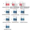 Disposable Bedding Pack Including Sheet, Quilts Cover, Pillowcases for Kids and Pet