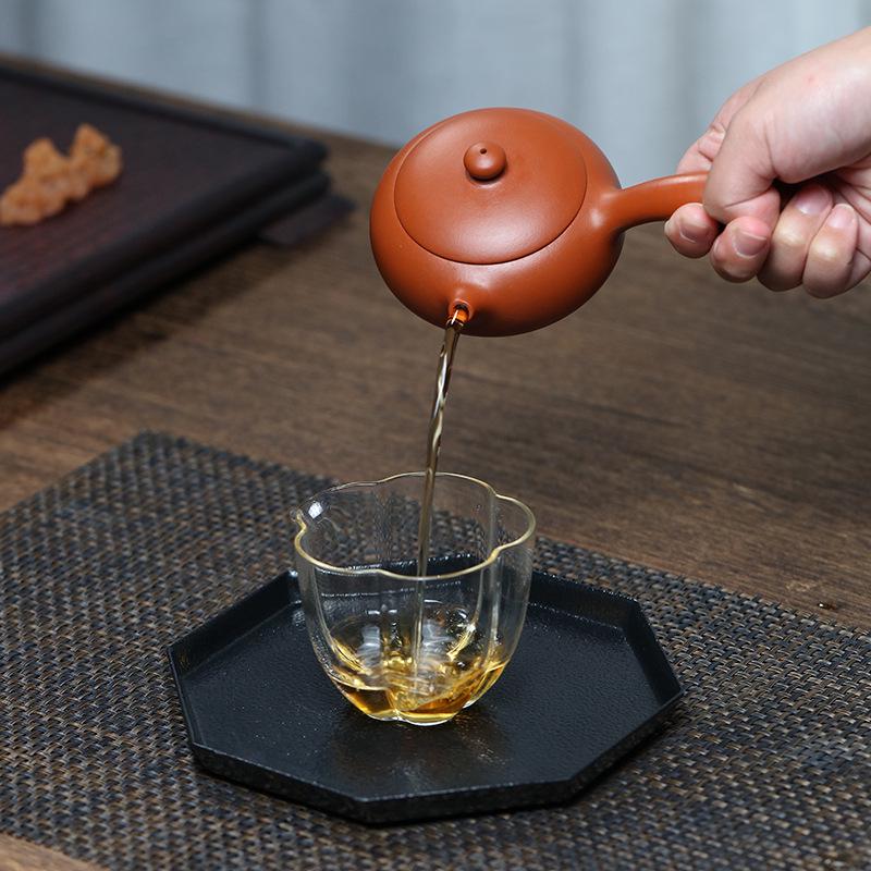 Tangyu Zisha Side Handle Xishi Teapot - Original Yixing Clay Kung Fu Teaware