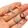 10pcs 316 Stainless Steel Black Gold Color Earring Hooks Wire DIY Earring Clips Hooks for Jewelry Making Accessories