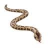 S-Shaped Curved Boa Constrictor Plush Toy Simulation Snake Doll Children'S Doll Gift Decoration