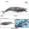 Marine Life Cognitive Toy Set: Sperm Whale, Shark, Bowhead Whale, Blue Whale