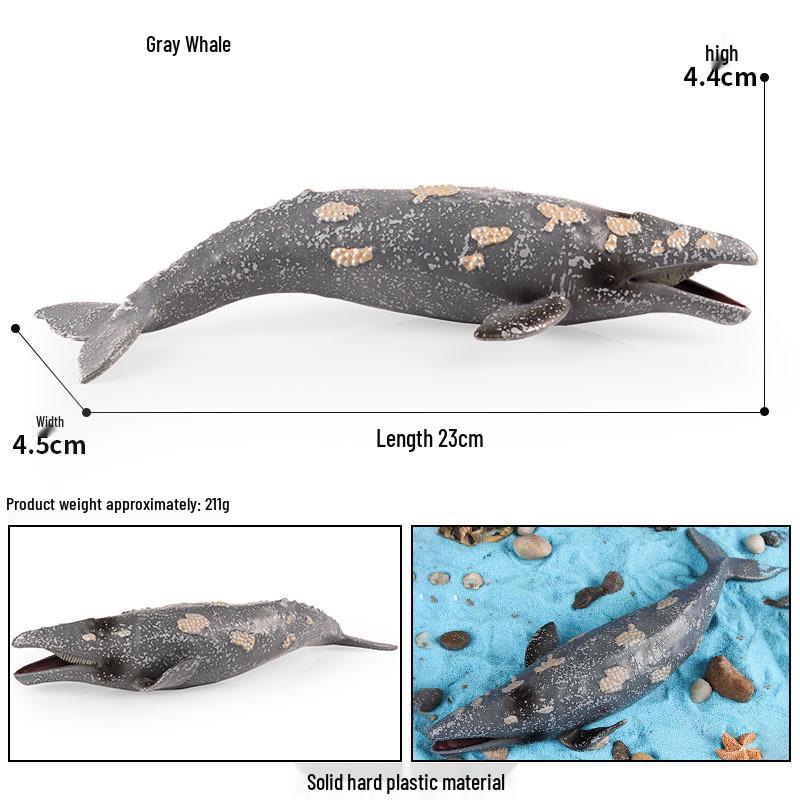 Marine Life Cognitive Toy Set: Sperm Whale, Shark, Bowhead Whale, Blue Whale