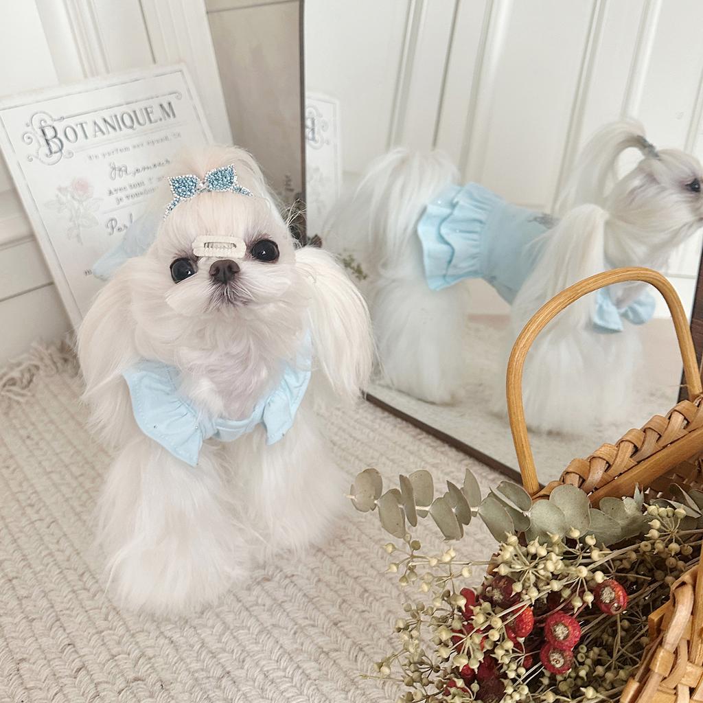 Pet Autumn and Winter Base Coat Butterfly Diamond Flying Sleeve Princess Skirt Dog Dresses for Small Dogs Puppy Clothes