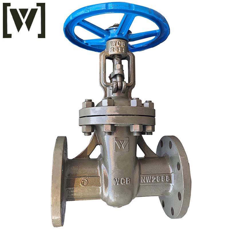 W Baipu Flanged Gate Valve Z41H-16C