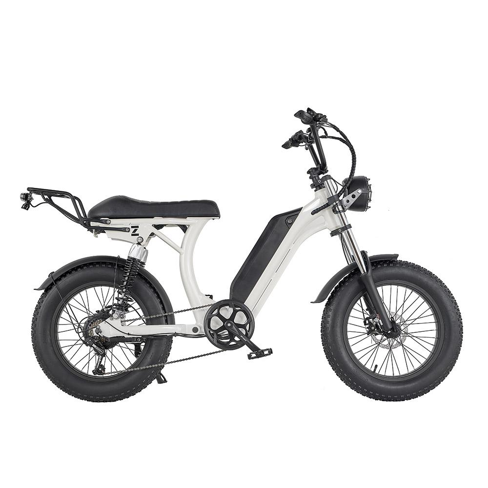 Kickwey S1 Erwachsenen City Elektrofahrrad 750W Motor 48V16Ah Batterie Outdoor Elektrofahrrad 20 Zoll Fat Tires All Terrain E-Mountainbike