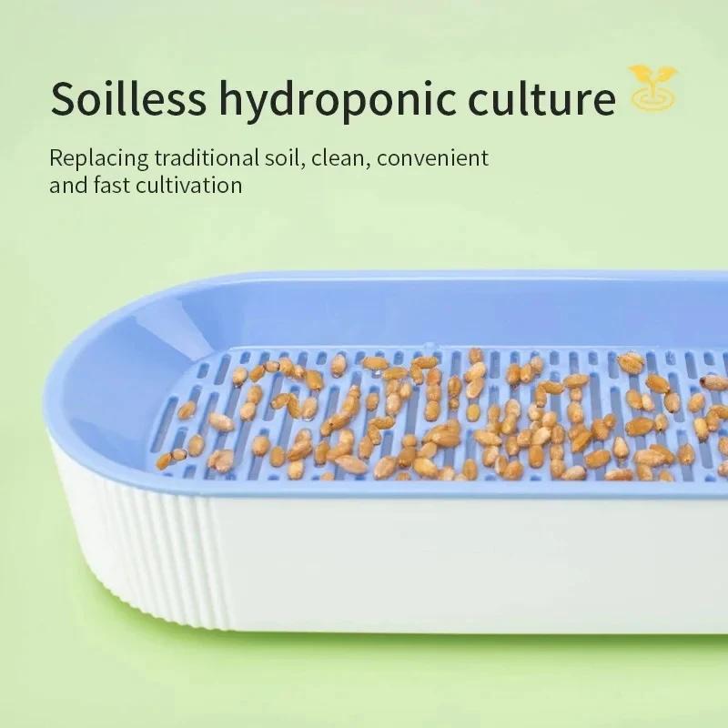Hydroponic Cat Grass Box Cat Treats Catnip Hydroponic Soilless Planting Cat Grass Pot Set for Easy Growth Dropshipping