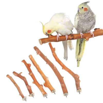 Natural Parrot Stand Tree Stick Birds Perch Paw Grinding Fork Parakeet Climbing Bird Standing Branches Toys Birdcage Accessories
