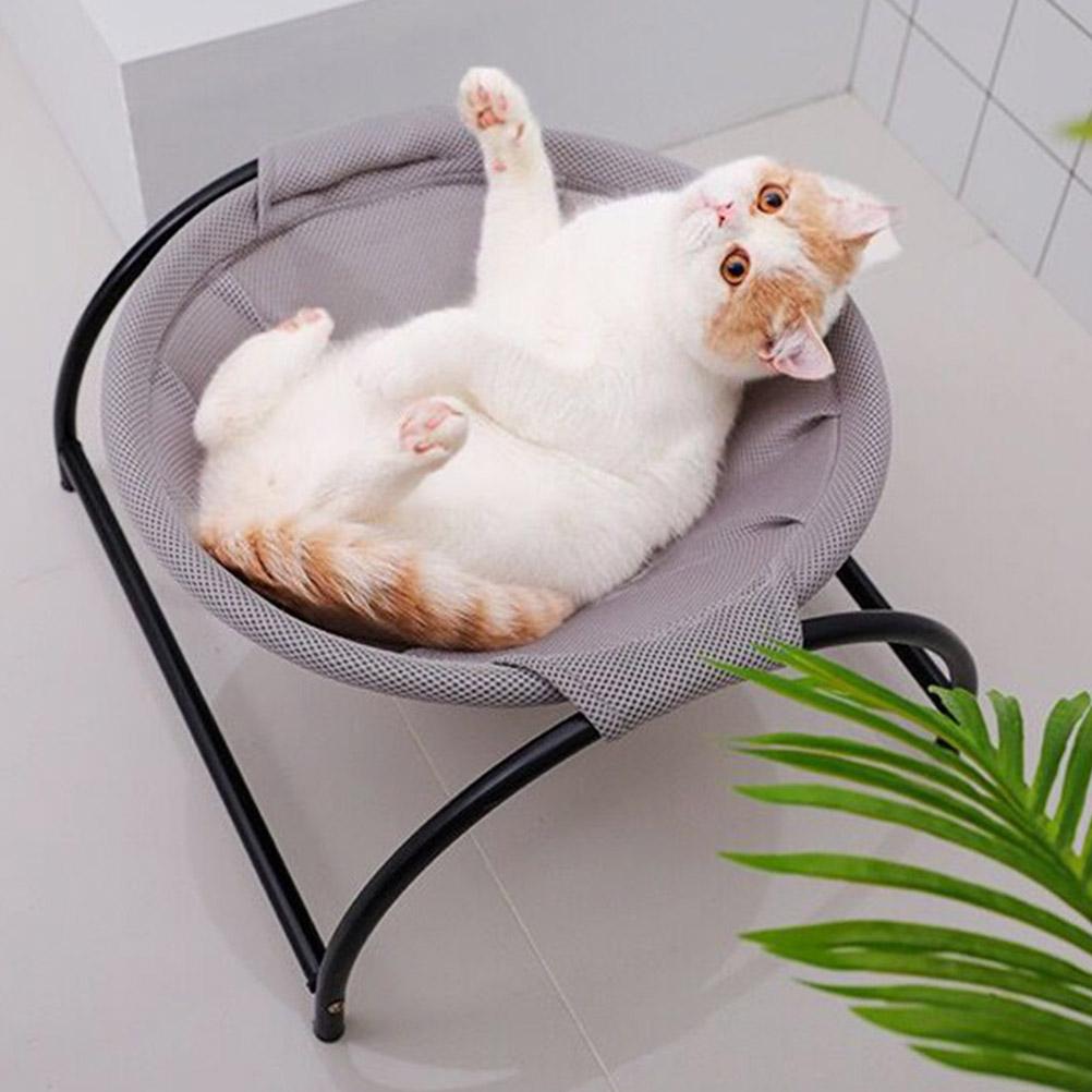 pet hammock bed